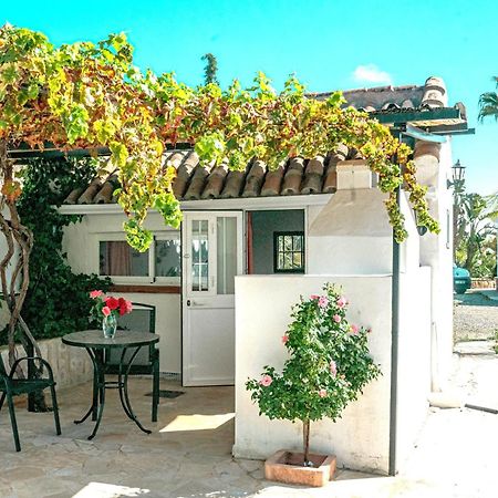 Tiny House 12M2 In Holiday Park With 55 M2 Pool Толокс Екстериор снимка